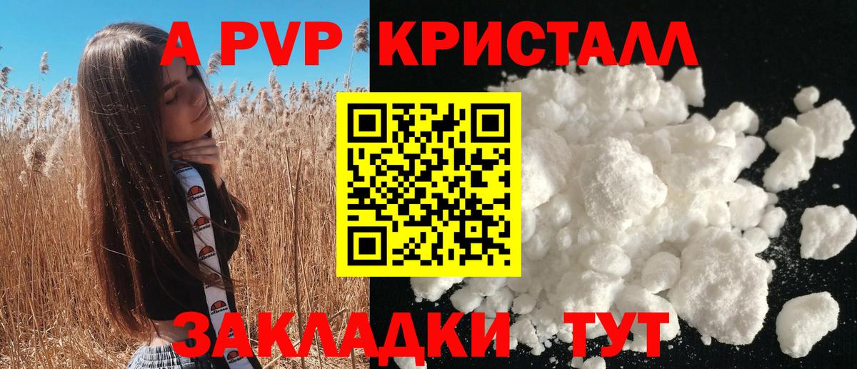 Alfa_PVP СК Луга