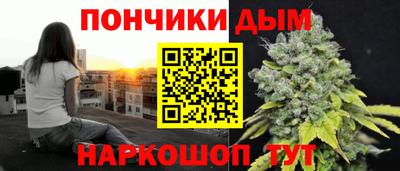 стаф Кохма